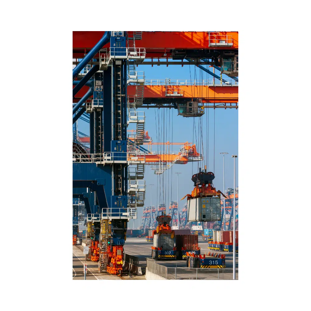 Containerkranen op een terminal in de haven